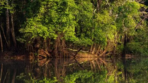 Tajemnicze zaginięcie w "obszarze bezprawia", nowe ustalenia policji
