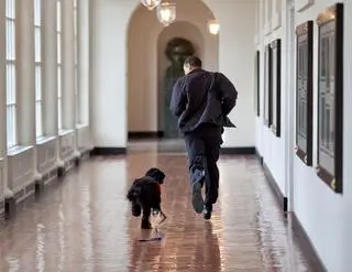 Barack Obama i jego pies Bo