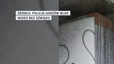 Policja Gorzów Wlkp