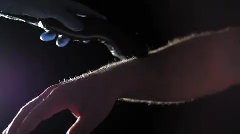 Dla medalu golą całe ciało. "Jakbym żył w wodzie"