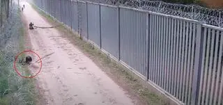 Kij uderzył funkcjonariuszkę 
