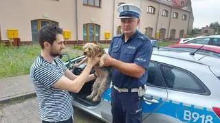 Pies wrócił do właściciela