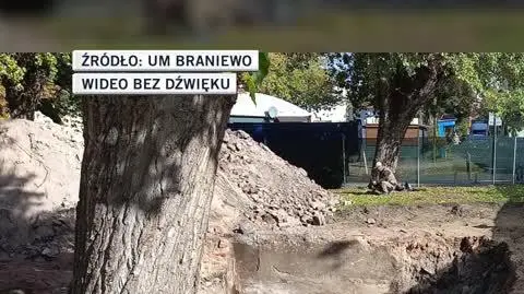 UM Braniewo