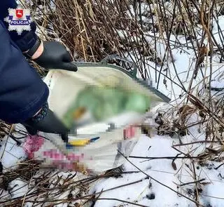 Ciało psa leżało w torbie