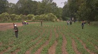 Miejska farma powstała we Wrocławiu 