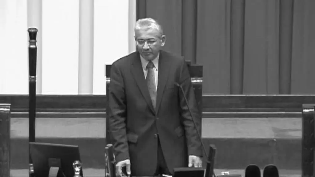 0704N395XR PIS DNZ RYDZEK DORN