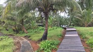 Promenada pośród palm kokosowych i bananowców