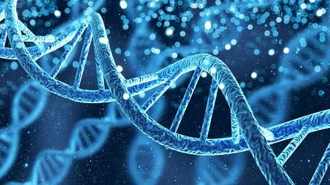 dna shutterstock_1665847021