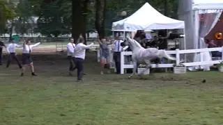 Atakama pobiegła w stronę stajni
