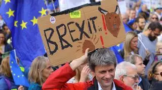 Goście "Faktów po Faktach" o brexicie