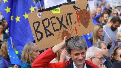 Goście "Faktów po Faktach" o brexicie 