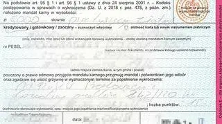 Kierowca dostał pięć tysięcy złotych mandatu, a na jego kontro trafiło 15 punktów karnych 