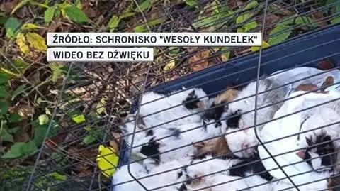 slideshow bartlomiej 