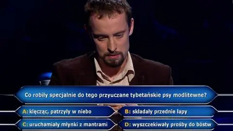 Tybetańskie psy modlitewne w pytaniu z "Milionerów" za 125 tysięcy złotych