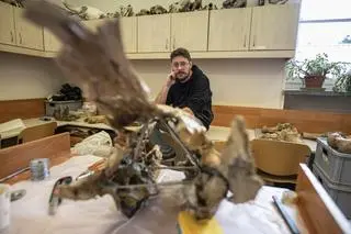 Rekonstrukcja szkieletu nosorożca, który żył na terenie obecnej Polski