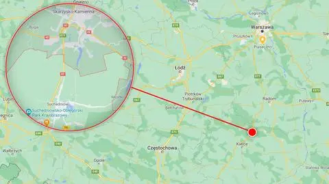 Nastolatki zgubiły się w lesie, bo wystraszyły je dziki