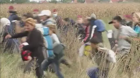 Komisja Europejska rozdziela imigrantów