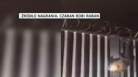 czaban1 (1)