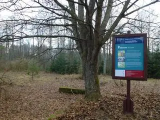 Po wsi Piskorzewo został fragment fundamentu 