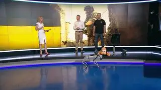 Janusz Będkowski i Bartosz Michalak opowiadali o robopsie z technologią mapowania MandEye