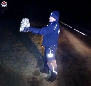 Ptak zaplątał się w sznurek