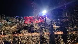 22-latek uderzył w drzewa. Zginął na miejscu