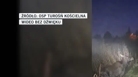 OSP Turośń Kościelna