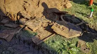 Teren, na którym pracownicy wykopali ludzkie kości zbadają archeolodzy