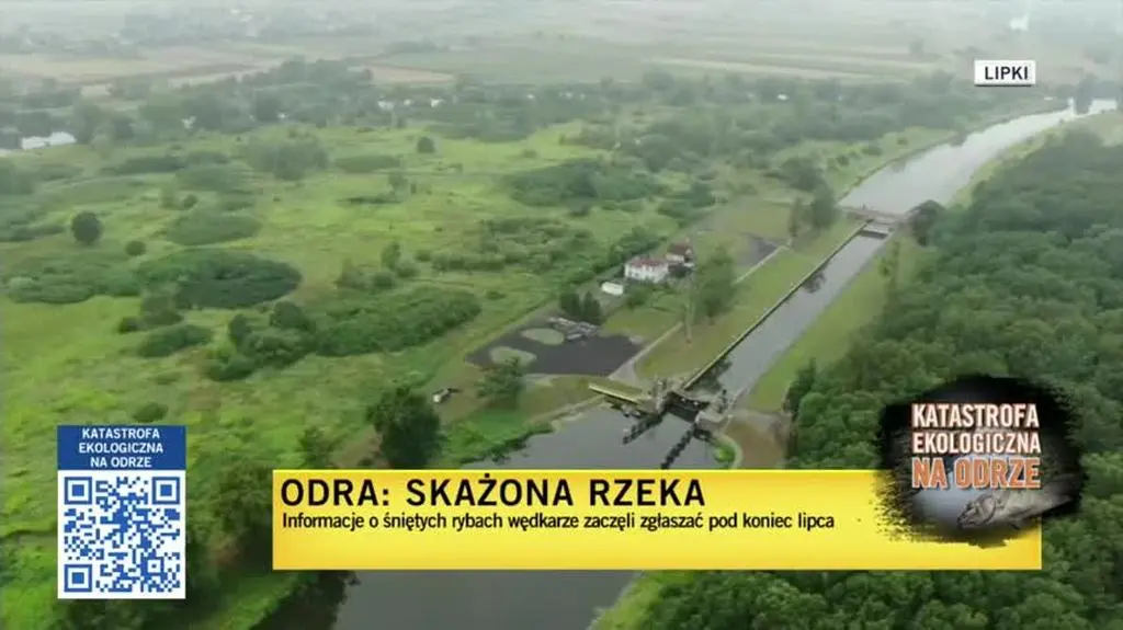 odra odra