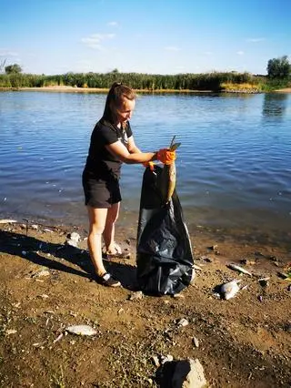 Katastrofa ekologiczna w Odrze. Zdjęcia Ochotniczej Straży Pożarnej w Gostchorzu