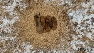 Zdjęcia zrobił Norbert Pająk