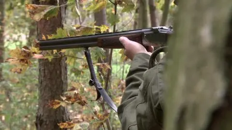 "Myśliwy był przekonany, że strzela do dzika". Od kuli zginął koń 