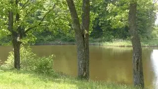 Górowo Iławeckie. Obrzeża miasteczka toną w zieleni. Wybudowany w ostatnich latach akwen wodny to dzisiaj uroczy, dziki park