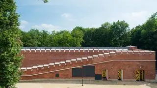 Konserwatorzy oczyścili też z zabrudzeń i mikroorganizmów powierzchnię cegieł