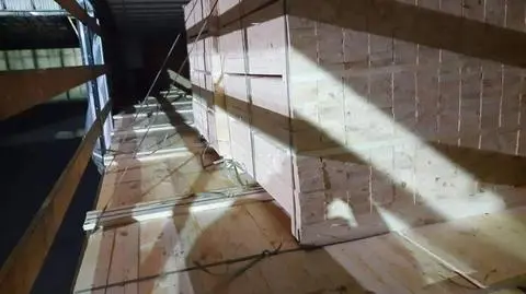 Iraqi family travelled to Poland in a truck carrying wood from Belarus