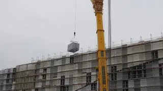 Unosi ciężary o wadze 500 ton 