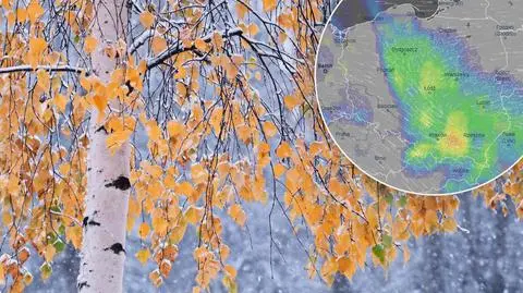 Mróz w najcieplejszym momencie dnia i śnieg. Tutaj zrobi się zimowo