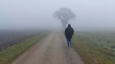 Mgła, mgliście, jesień