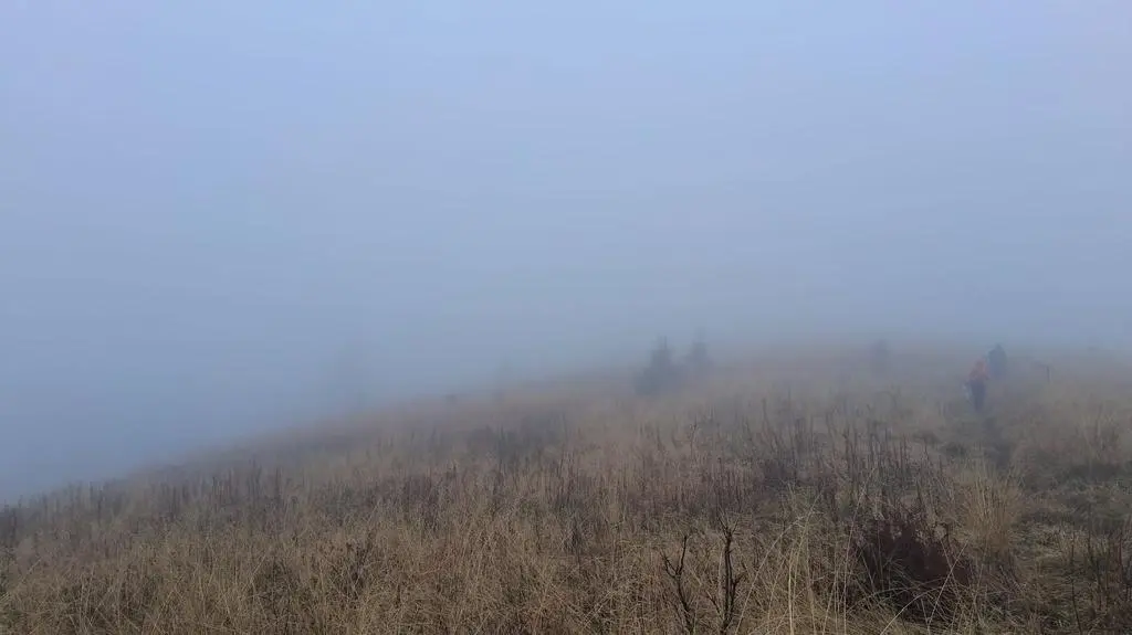 Mgła na Bukowym Berdzie