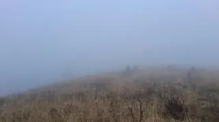 Mgła na Bukowym Berdzie