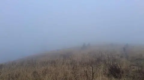 Mgła na Bukowym Berdzie