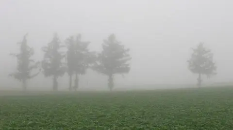 Mgła, sierpień