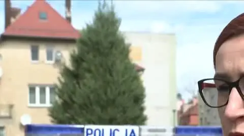 SETKA_WRO3