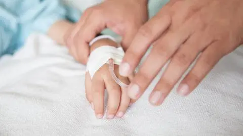 shutterstock_445151728