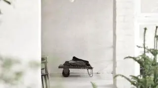 Restauracja Höst