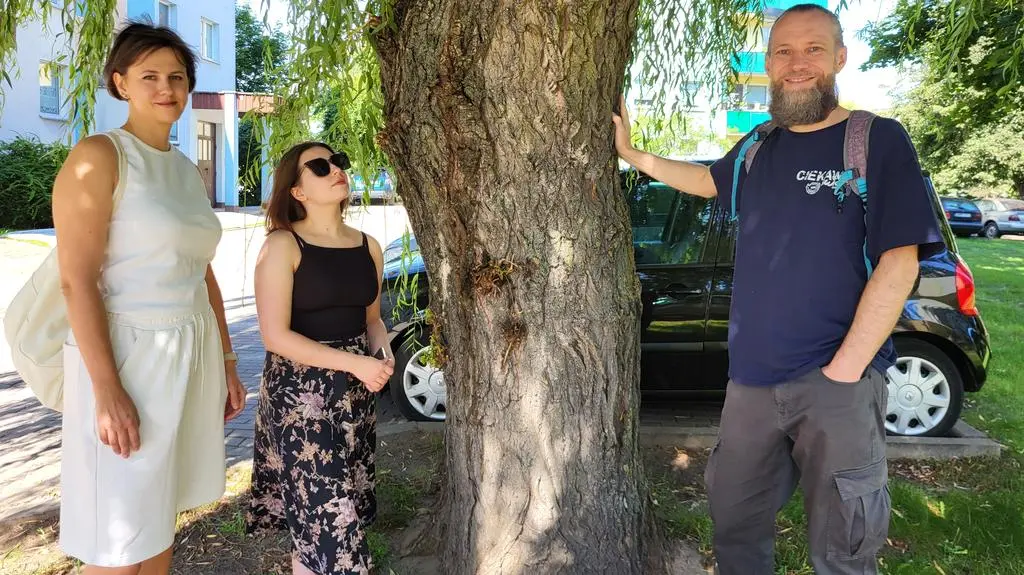 Mieszkańcy stanęli w obronie drzew 