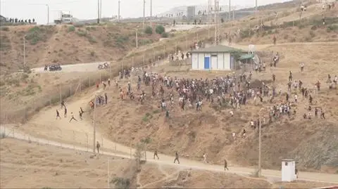 migranci