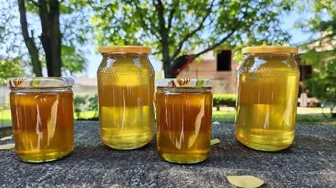 Miód z pasieki w Lipce pod Strykowem