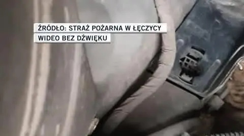 Kot trafił pod opiekę weterynarza