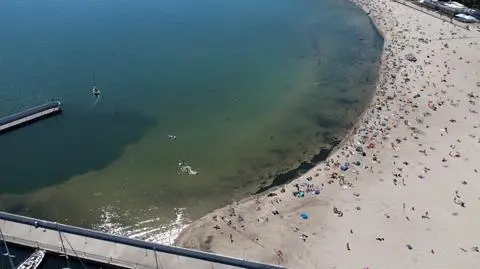 Sinice mogą osiedlić się w różnych ekosystemach